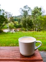 Riverside Retreat- Farm stay by the river - B&B Bony Mountain