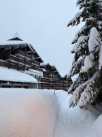 Appartement PRAZ DE LYS TMB - B&B Taninges