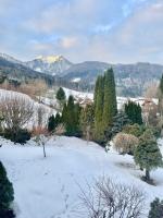 Modern loft for 6 with mountain views in Bad Ischl - Chambres d’hôtes Bad Ischl