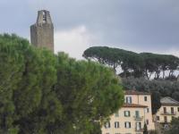 Flat26 - B&B Castiglion Fiorentino