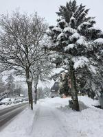 Bergzauber Bayerwald - voll ausgestattetes Familienapartment mit Pool - B&B Sankt Englmar