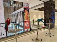 Aesthetic 2BHK Condo 360 Sunset View Rooftop Pool - B&B Islamabad