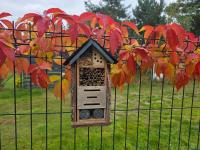 W Olchach - lokal Brzózka - B&B Wiktorowo