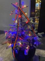 Casa Veche - Ferienwohnung Runcu