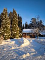 Embracing nature's Swedish house - Bed and Breakfast Ludvika