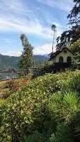 Il bosco accanto - B&B Centa San Nicolò