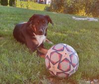 Residence Stefansdorf - Bed and Breakfast Bruneck