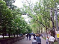 Apartment in the center on Spasskaya Street - B&B