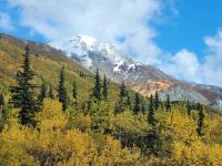 Little Bear Getaway Cabins - Bed and Breakfast Glacier View