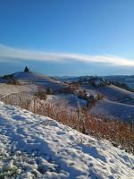 Beautiful private house among the Moscato vineyards - B&B Camo
