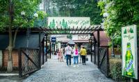 Forest Grill - B&B Piatra Neamţ
