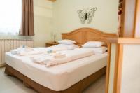 Apartment - Erdgeschoss