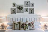 Aloe Suite