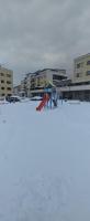 Rox Mountain View Apartament - B&B Râşnov