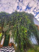 Casa Quinta Villa Anita - Ferienwohnung San Pedro