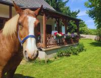 Minor Major Vendégház - Bed and Breakfast Somogyacsa