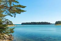 Maison moderne à Baden - B&B Baden