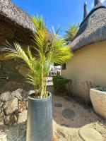 Domaine des Alizées - 2 bedroom Apartment - Grand Baie - Chambres d'hôtes Grand Baie