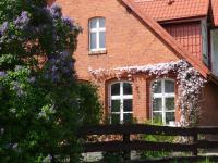 Jeleńczówka Alte Dorfschule - B&B Parchowo