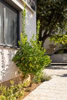 Perec Apartments - B&B Novi Vinodolski