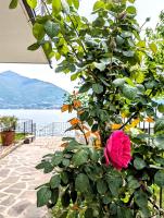 Balcone sul Lago - B&B Acquaseria