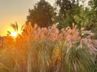 150qm Luxusloft mit Sauna - niedrige Preise bis Sommer! - Chambres d’hôtes Helmbrechts