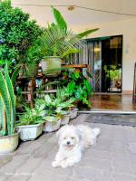 Camigs Vacation House - B&B Mambajao