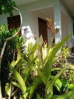 Green Park Haven Villa - 3BR -1AC - 2Non-AC with Fans - B&B Hikkaduwa