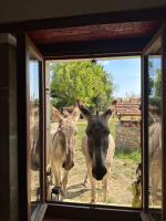 Le Hameau des Ânesses - Bed and Breakfast Courgains