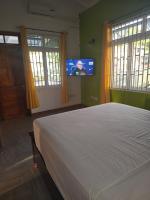 Travellers Villa - B&B Roseau