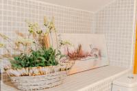 Villa Ancient Mill - B&B Luštica