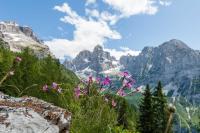 Appartamento Brenta - Chambres d'hôtes Stenico