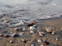 Cozy flat near the beach - Chambres d'hôtes Bibione
