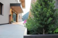 Gasthof Videgg - Bed and Breakfast Schenna