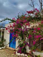 Complejo Delfos del Faz Mojácar - B&B Mojacar Pueblo