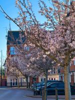 Principality, WMC, Utilita Arena - B&B Cardiff