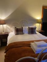 Habitación Deluxe con cama extragrande