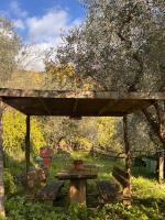 Podere Val di Vico - B&B Pieve