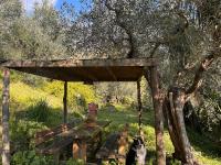 Podere Val di Vico - B&B Pieve