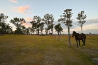 Clarendon Cottage, near Lowood , Fernvale, right on the BVRT - B&B Clarendon