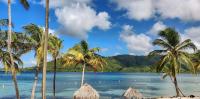 Appartement Dream à 3 MIN de la PLAGE POINTE MARIN - B&B Sainte-Anne