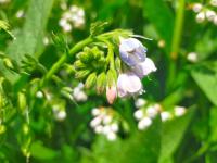 Logis51 - Ferienwohnung Ville-sur-Tourbe