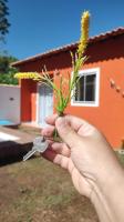 Casa de Praia no Condomínio Florestinha com 02 quartos - B&B Tamoios