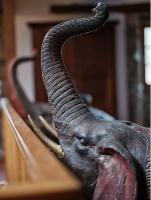 Casa Grande de Covas-Apartamentos Boutique Turísticos- Ribeira Sacra - B&B Taboada