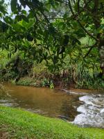 Pousada Dona Chica - Bed and Breakfast Visconde de Mauá