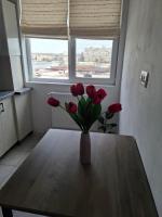 Evi home - B&B Craiova