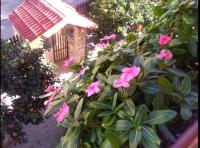 Casa Vacanze