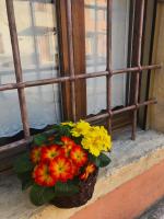 Le Ortensie Lago di Garda - B&B Monzambano