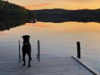 Three Bedroom Cottage Scenic Farm Views Lake Access and Free Boat - Chambres d'hôtes Valdemarsvik