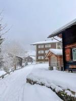 Sunny Bijou Studio - Ski-in, Ski-out - by Wengen Rentals - Bed and Breakfast Wengen